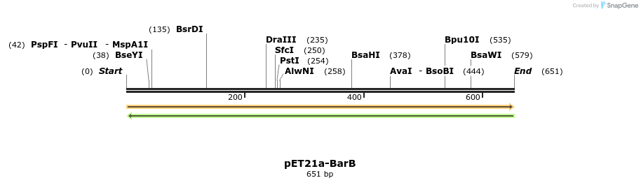 77504_map