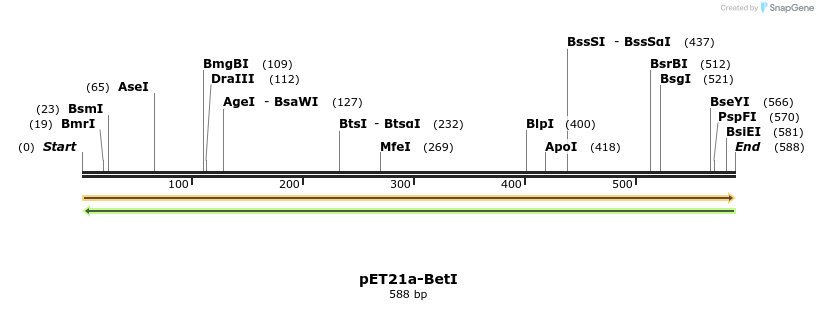 77506_map