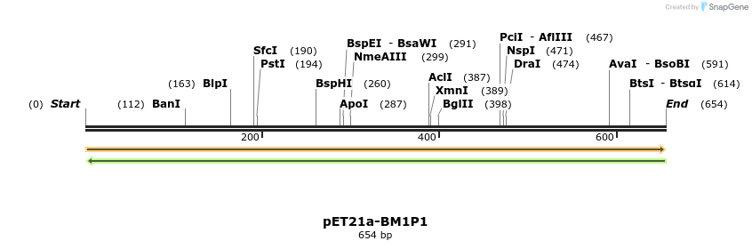 77508_map