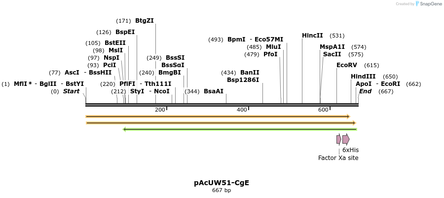 7751_map