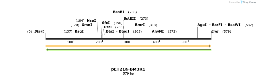77510_map