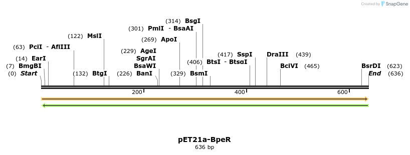 77512_map