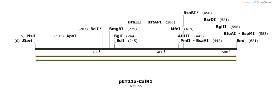 77516_map