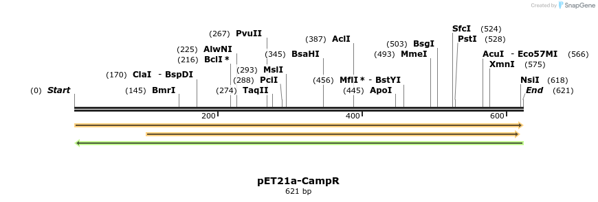 77518_map