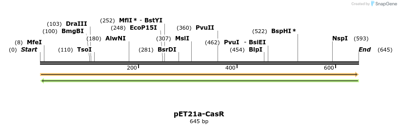 77520_map