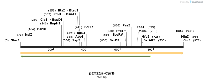 77522_map