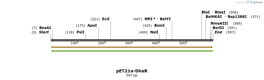 77528_map