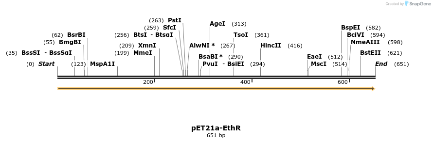 77534_map