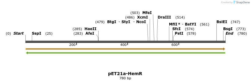 77540_map