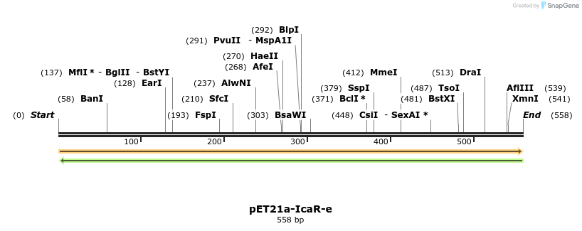 77546_map