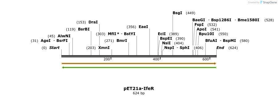 77548_map