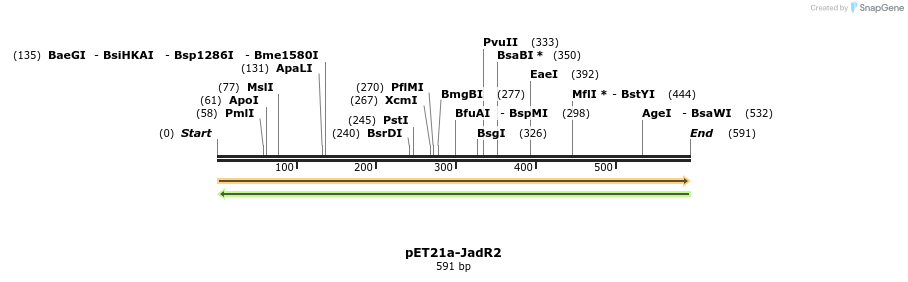 77550_map