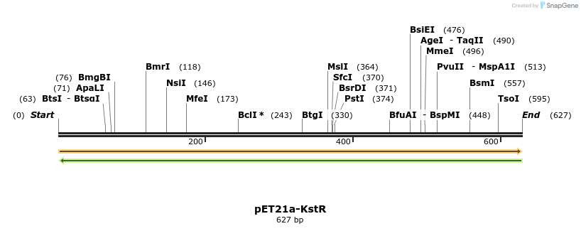 77552_map