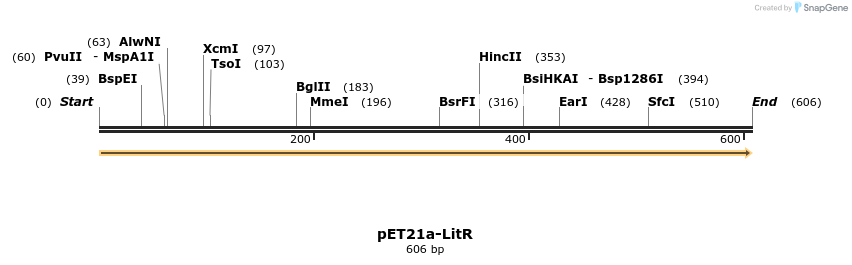 77556_map