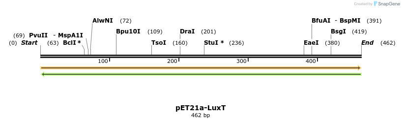 77560_map