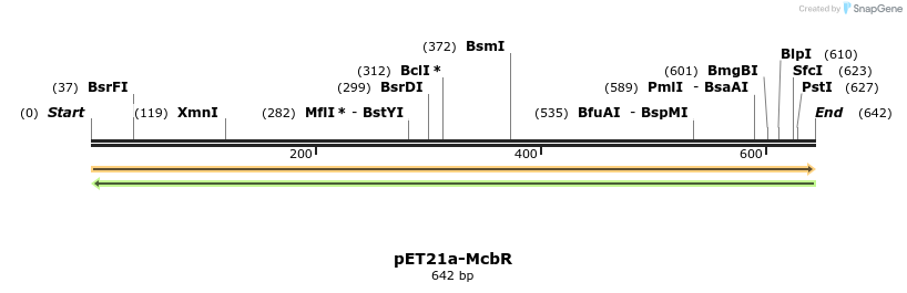77562_map