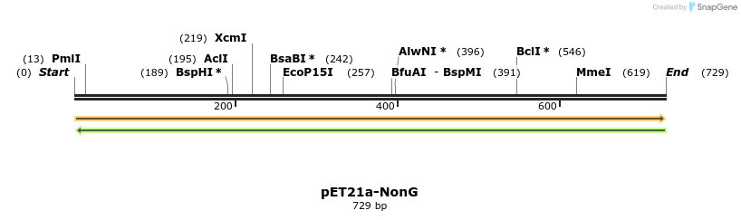 77572_map