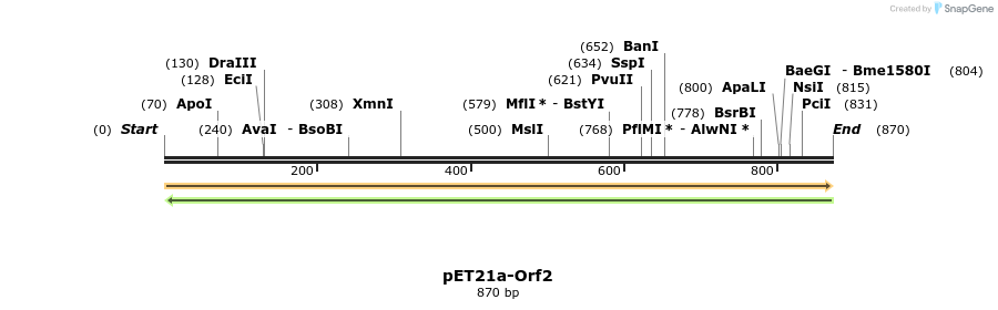 77576_map