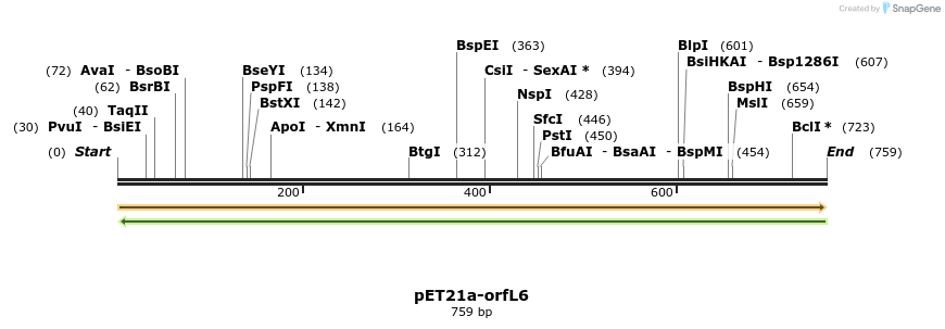 77578_map