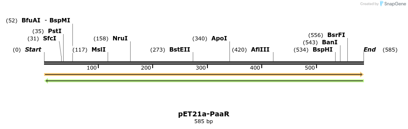 77580_map