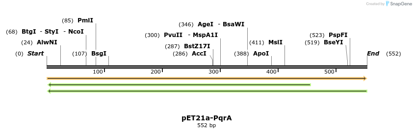 77584_map