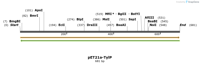 77614_map