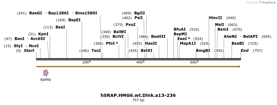 77635_map