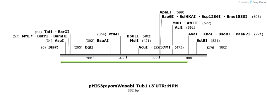 77636_map