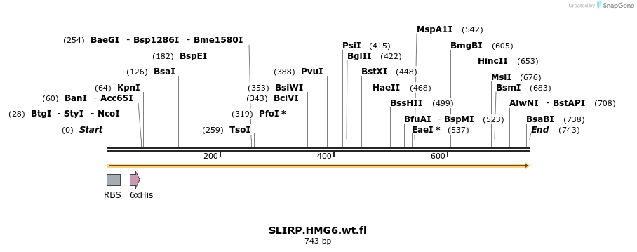 77637_map