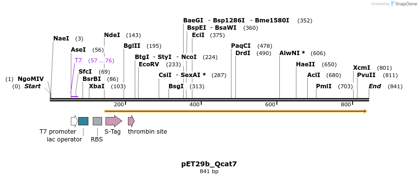 77638_map