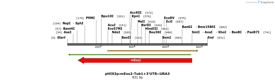 77640_map