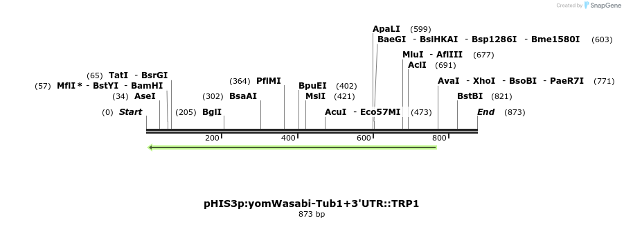 77641_map