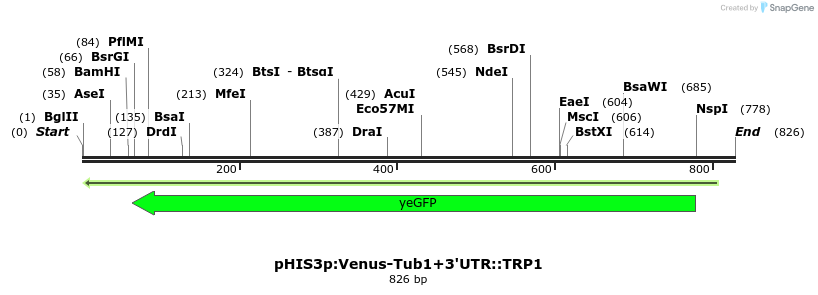 77643_map