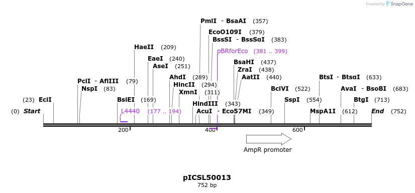 77644_map