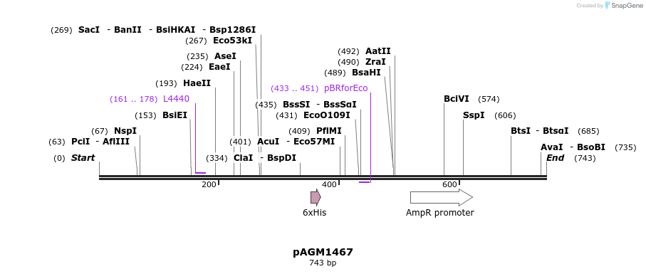 77645_map