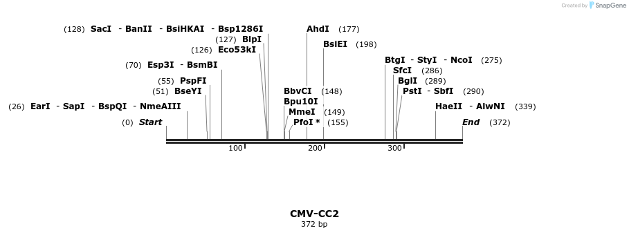 77646_map