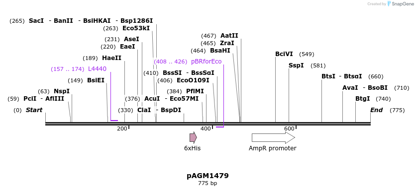 77648_map