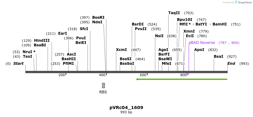77650_map