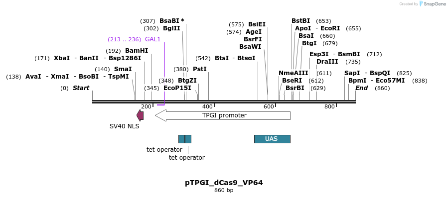 77651_map