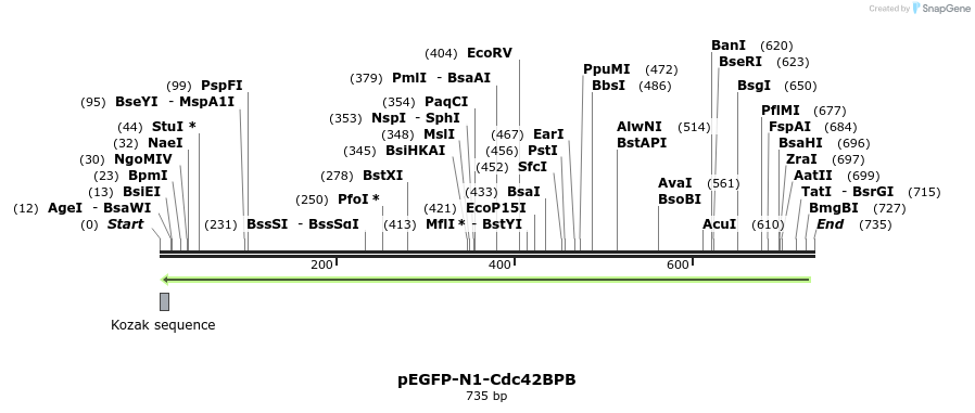 77657_map