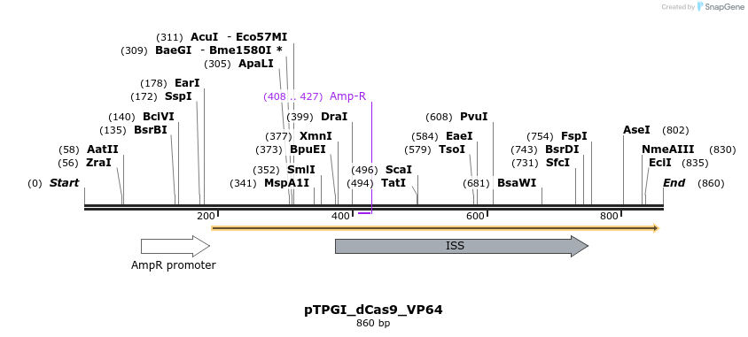 77658_map