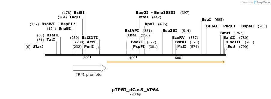 77659_map