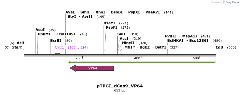 77661_map