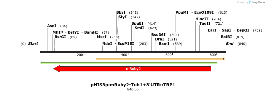77675_map