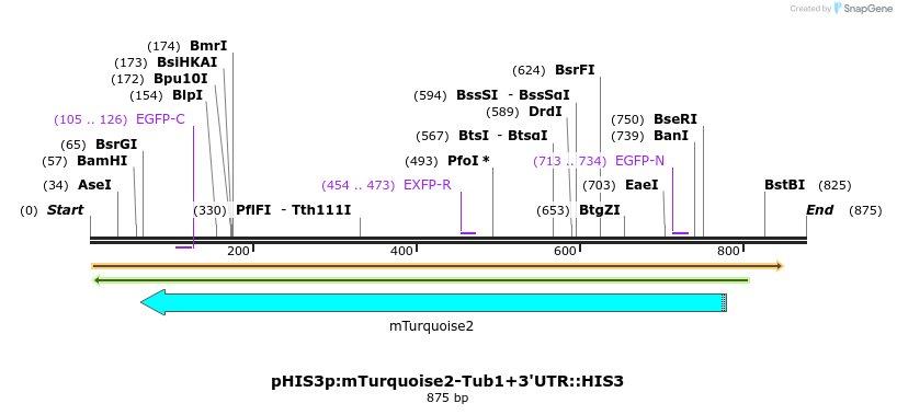 77676_map