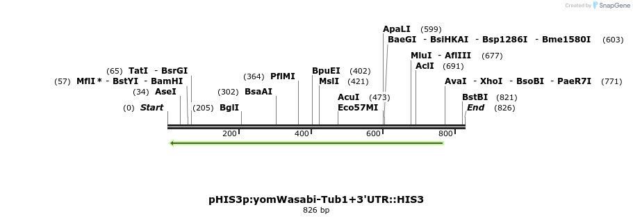 77677_map