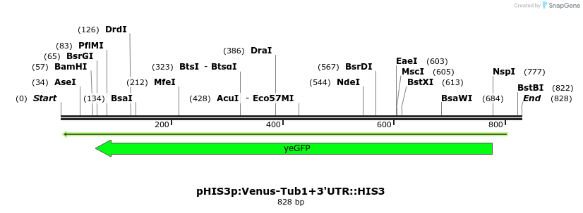 77678_map