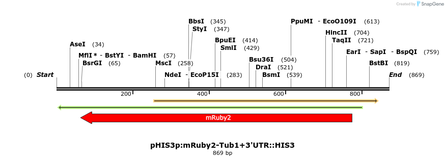 77679_map