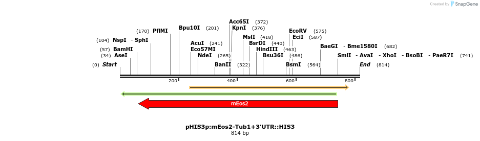 77680_map