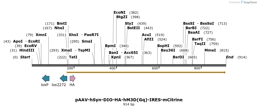 77681_map